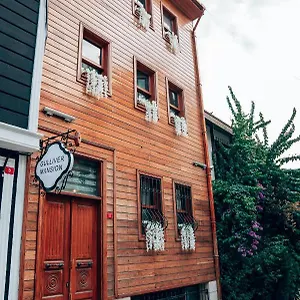 Gulliver Mansion Stambuł